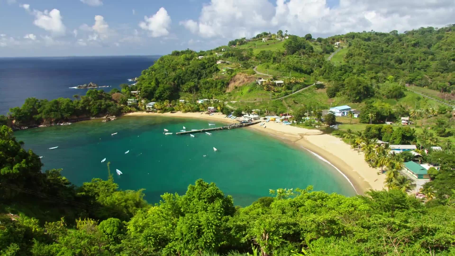 Baie martiniquaise, village et toits dans la verdure